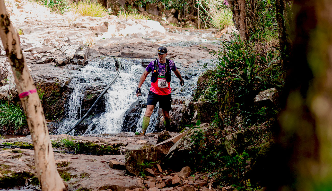 MÁS SALVAJES QUE NUNCA